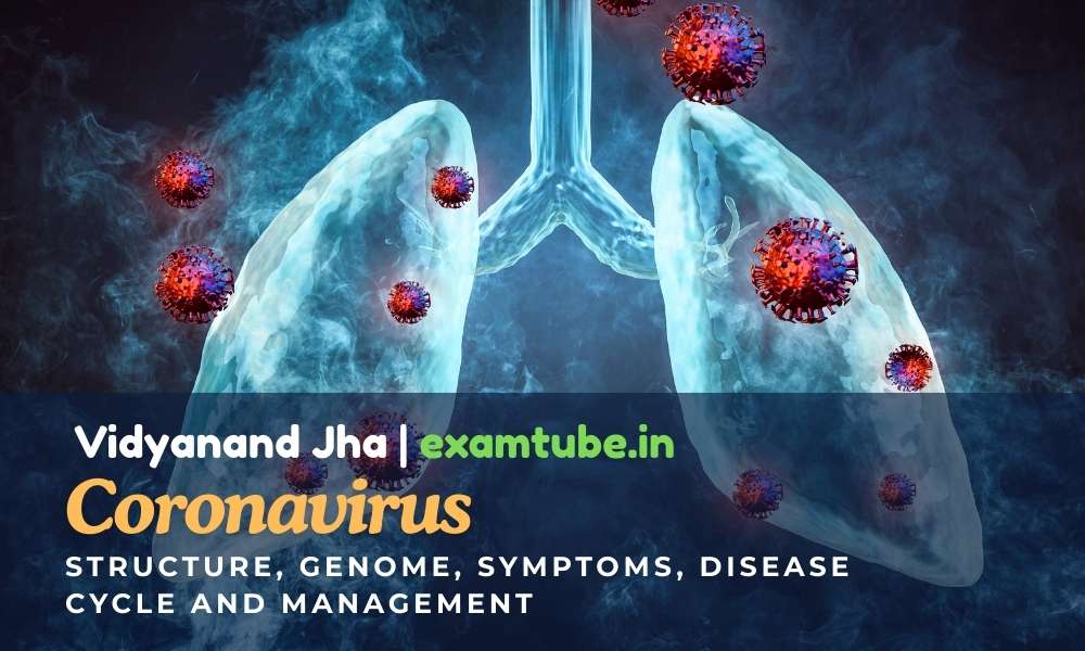 Coronavirus Structure, Genome, Replication, Symptoms, Pathogenesis, and Prevention