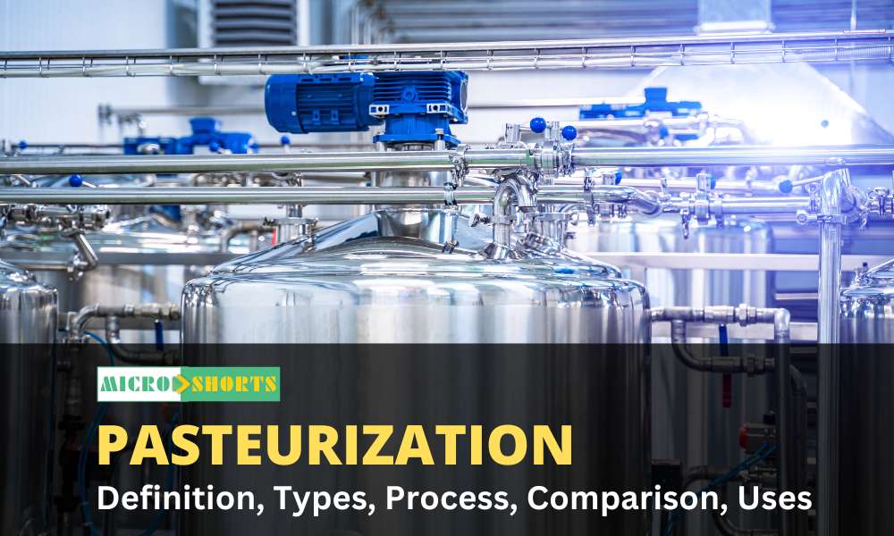 Pasteurization- Definition, Types, Process, Comparison, Uses