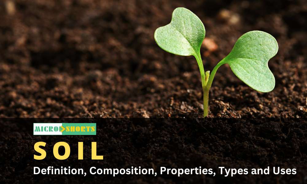 Soil- Definition, Composition, Properties, Types and Uses
