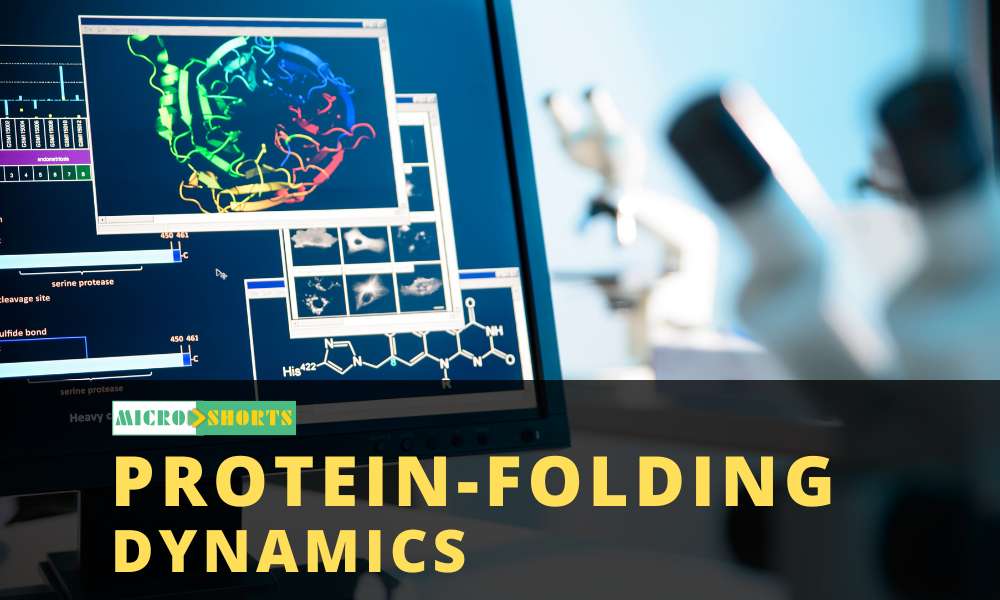 Protein-Folding Dynamics