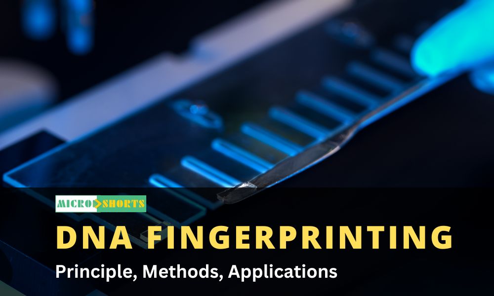 DNA Fingerprinting- Principle, Methods, Applications