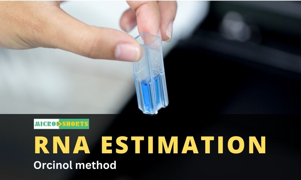 RNA estimation by Orcinol method